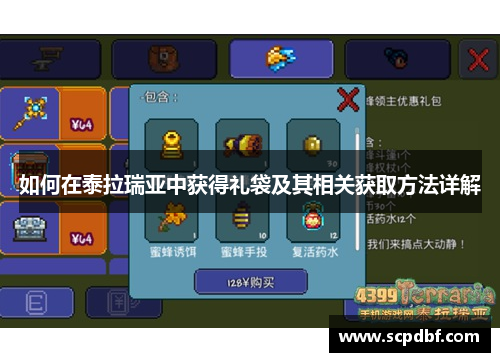如何在泰拉瑞亚中获得礼袋及其相关获取方法详解